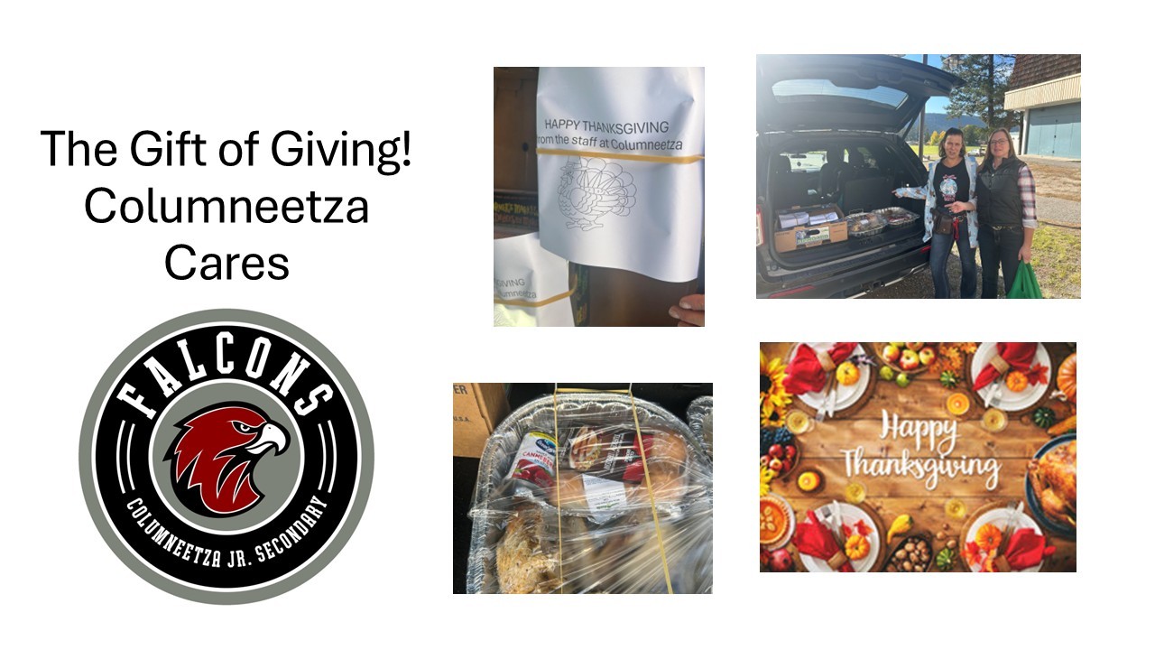 Thanksgiving alina cameron